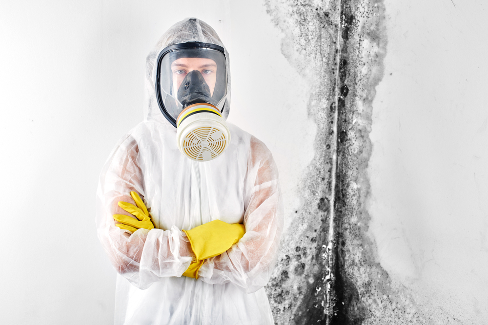 Mold Remediation Services in Palm Beach County